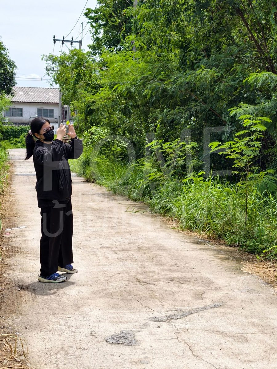 ที่ดินเปล่า